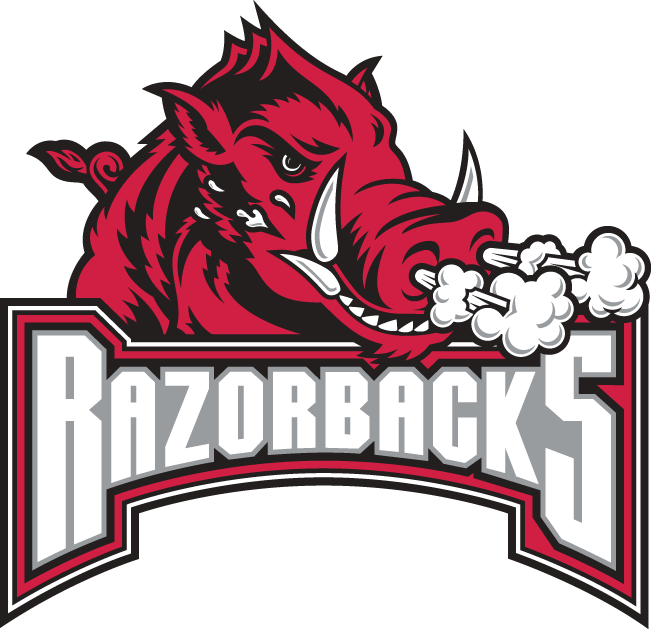Arkansas Razorbacks 2001-2008 Secondary Logo v2 iron on transfers for fabric